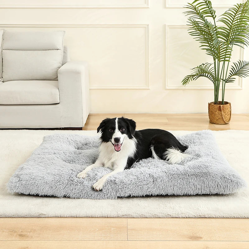 Soft Dog & Cat Bed