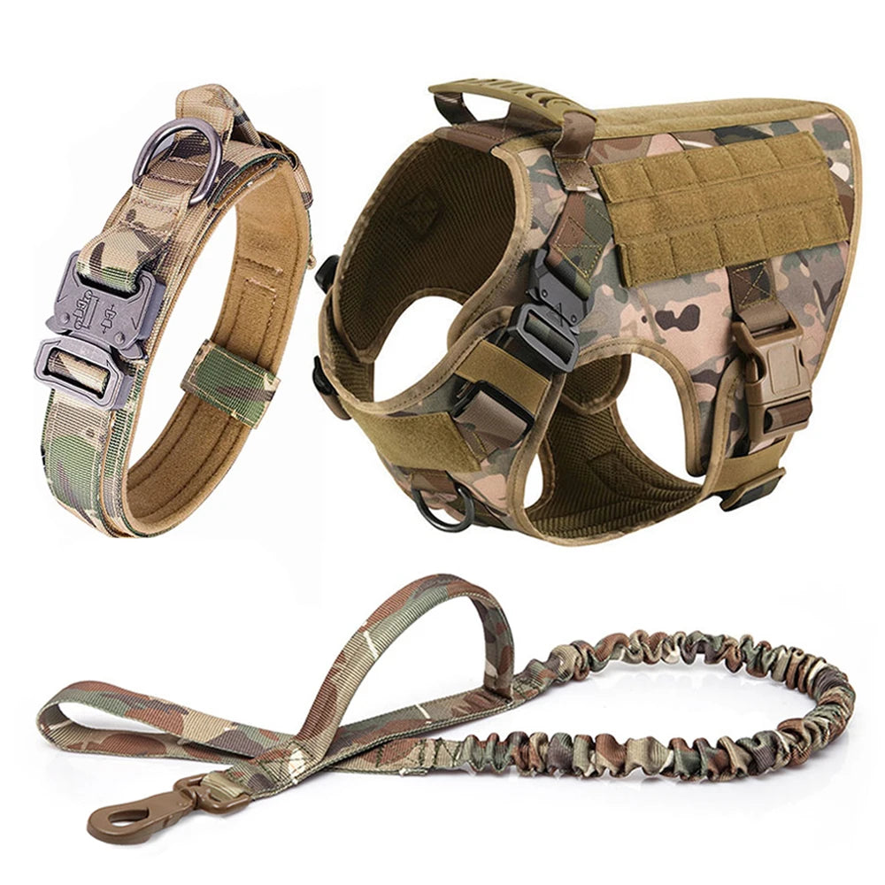Large Dog Harness & Leash Set