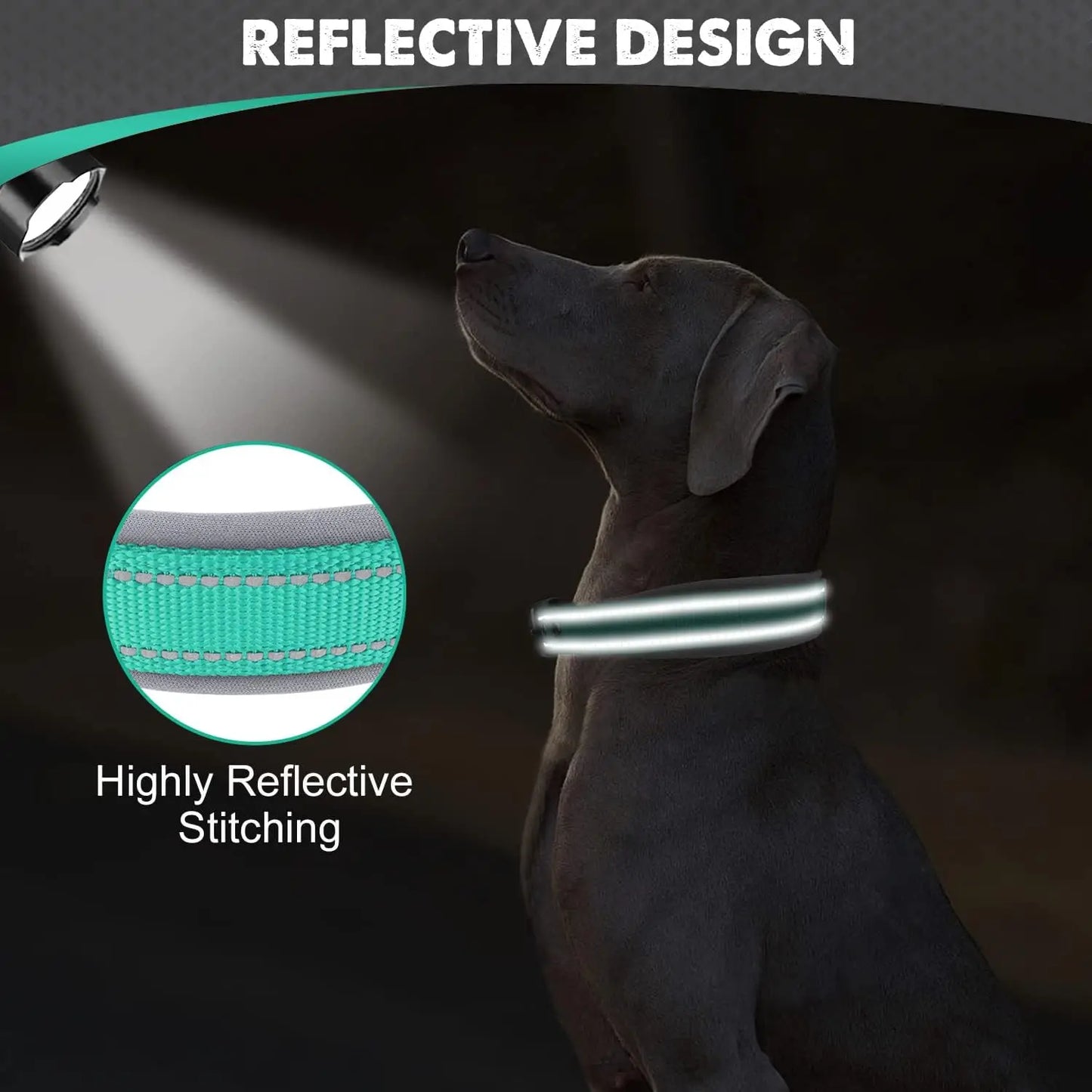 Padded Reflective Nylon Dog Collar