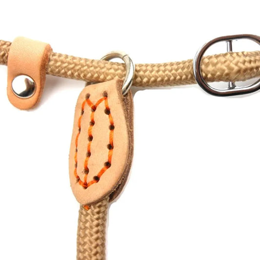 Heavy Duty Braided Slip Rope Dog Leash