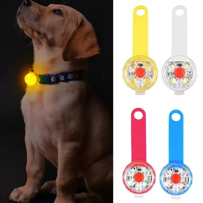 Weatherproof USB Rechargeable LED Pet Collar