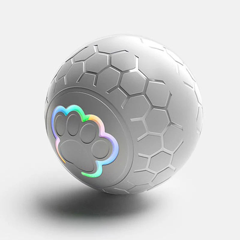Smart Dog Toy Bal