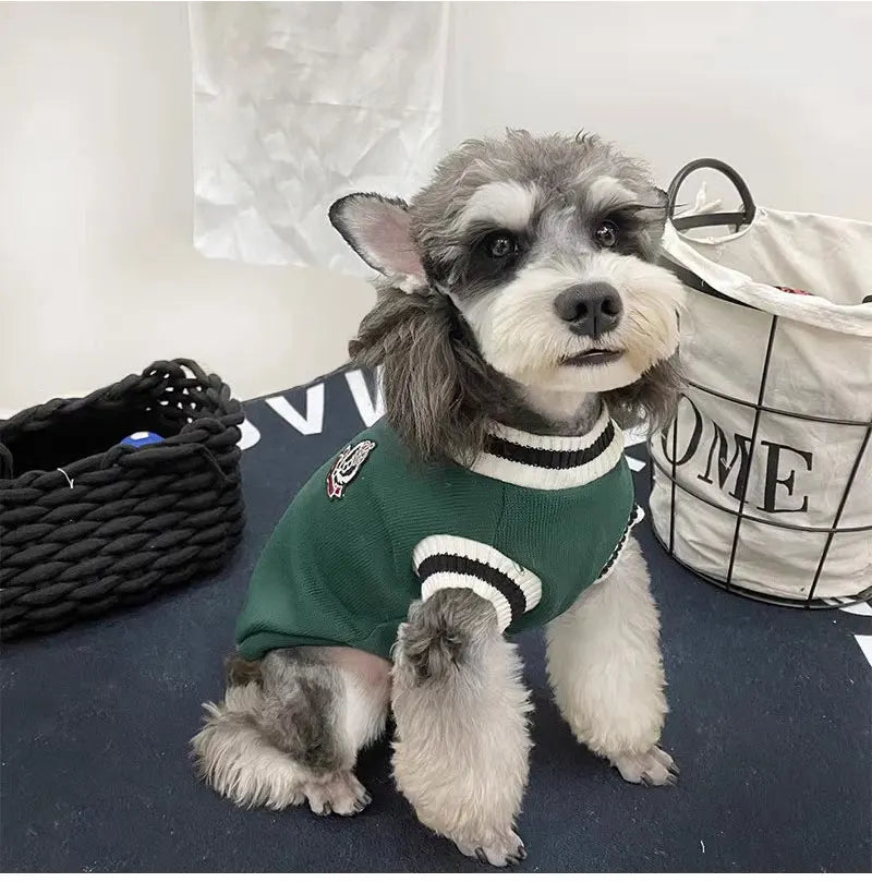 V-Neck Knit Dog Sweater