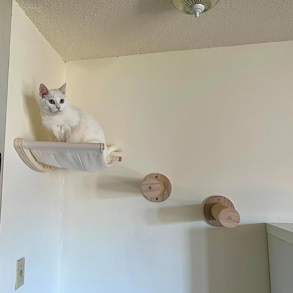 Wall-Mounted Cat Climbing Shelves with Hammock & Scratching Post