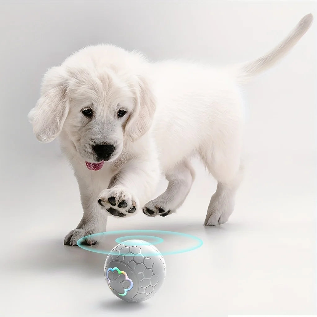 Smart Dog Toy Bal