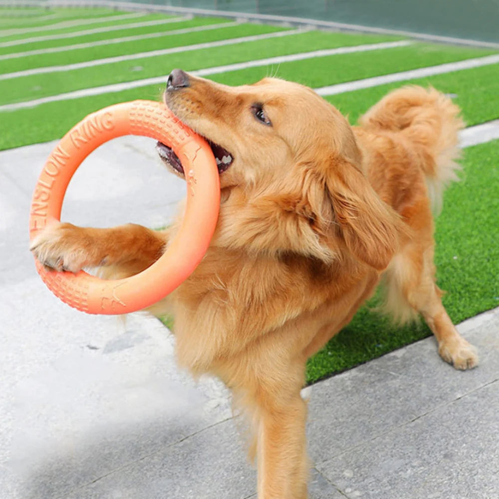 Orange EVA Dog Flying Training Ring
