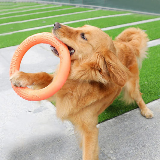 Orange EVA Dog Flying Training Ring