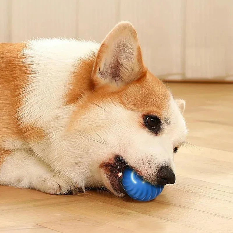 Smart Interactive Pet Toy Ball