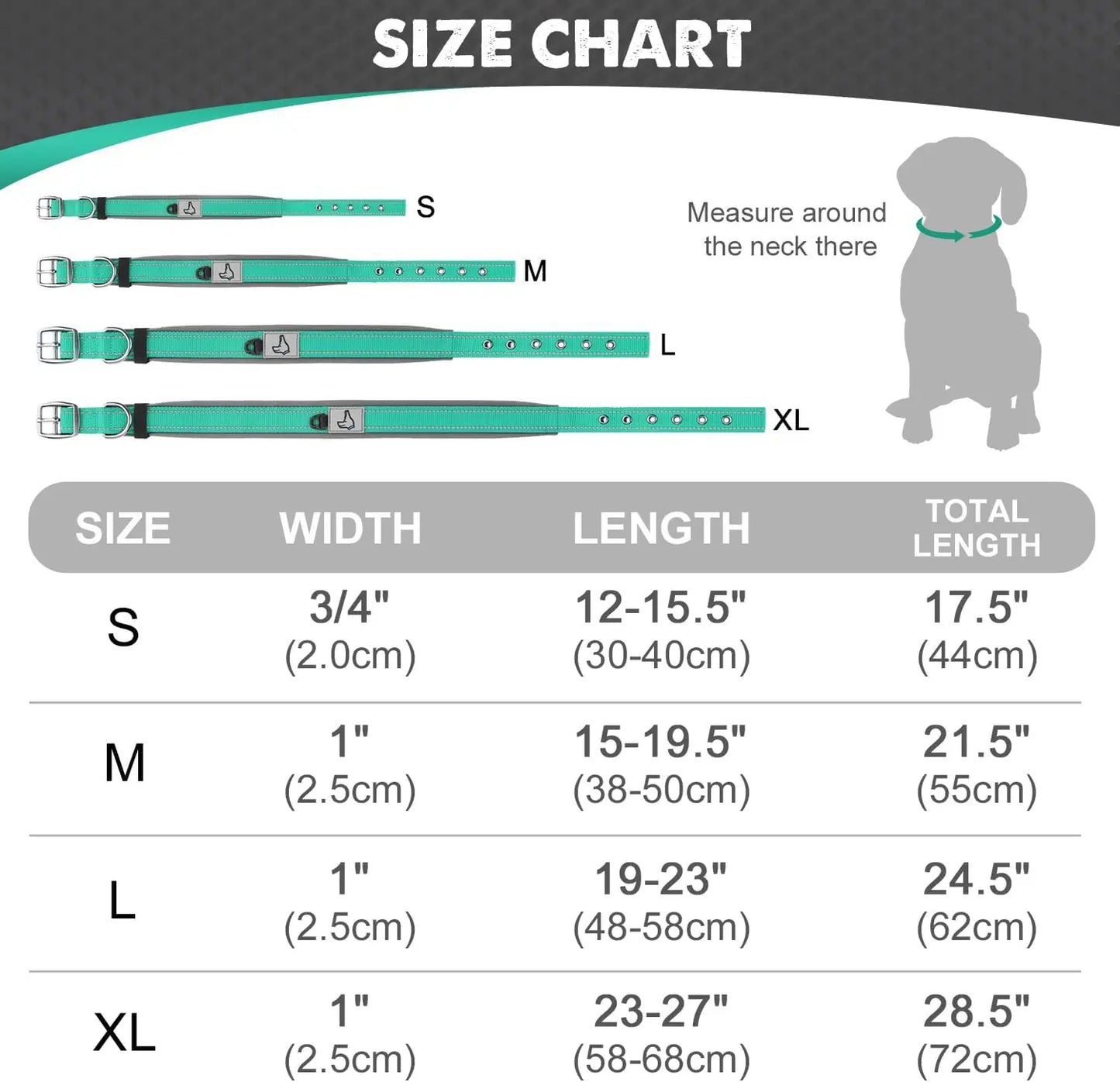 Padded Reflective Nylon Dog Collar