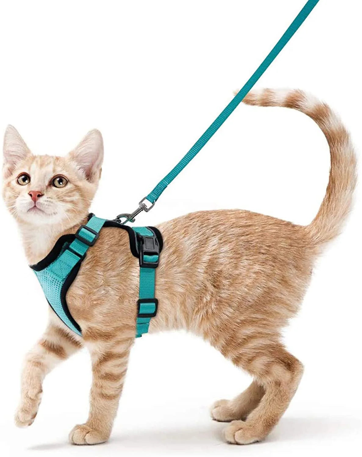 Adjustable Cat Harness & Leash