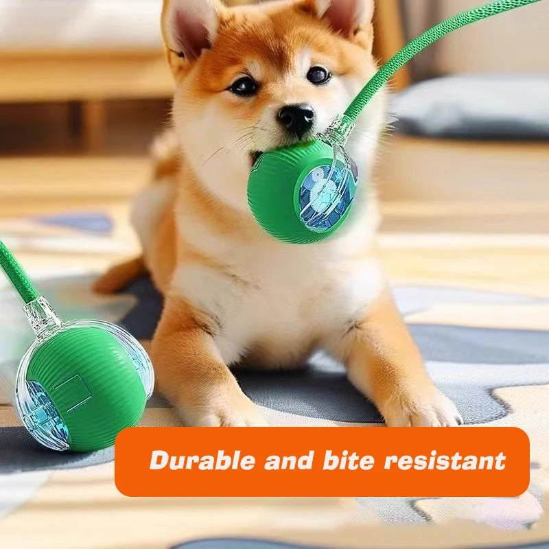 Automatic Rolling Interactive Dog Ball
