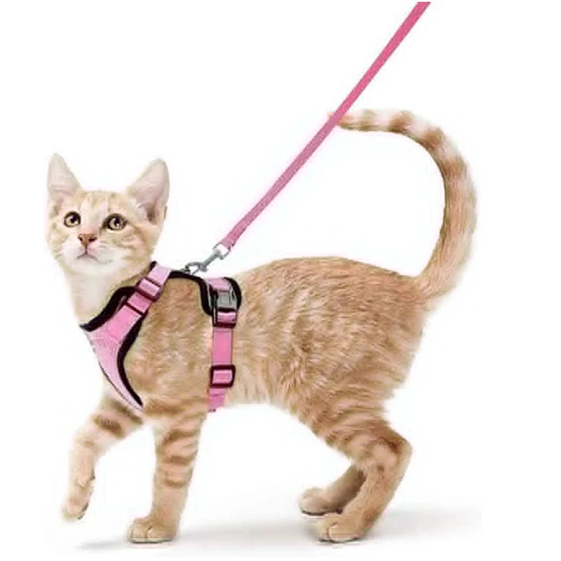 Adjustable Cat Harness & Leash