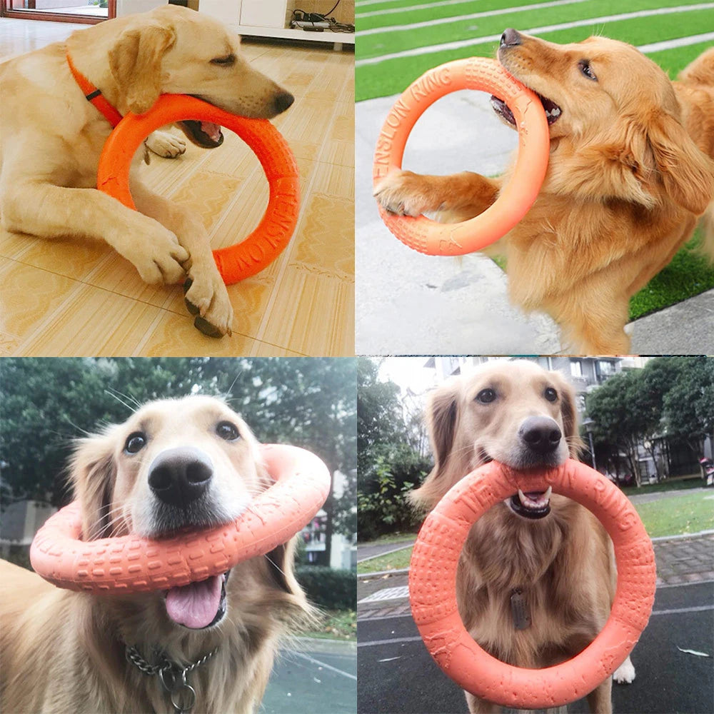 Orange EVA Dog Flying Training Ring