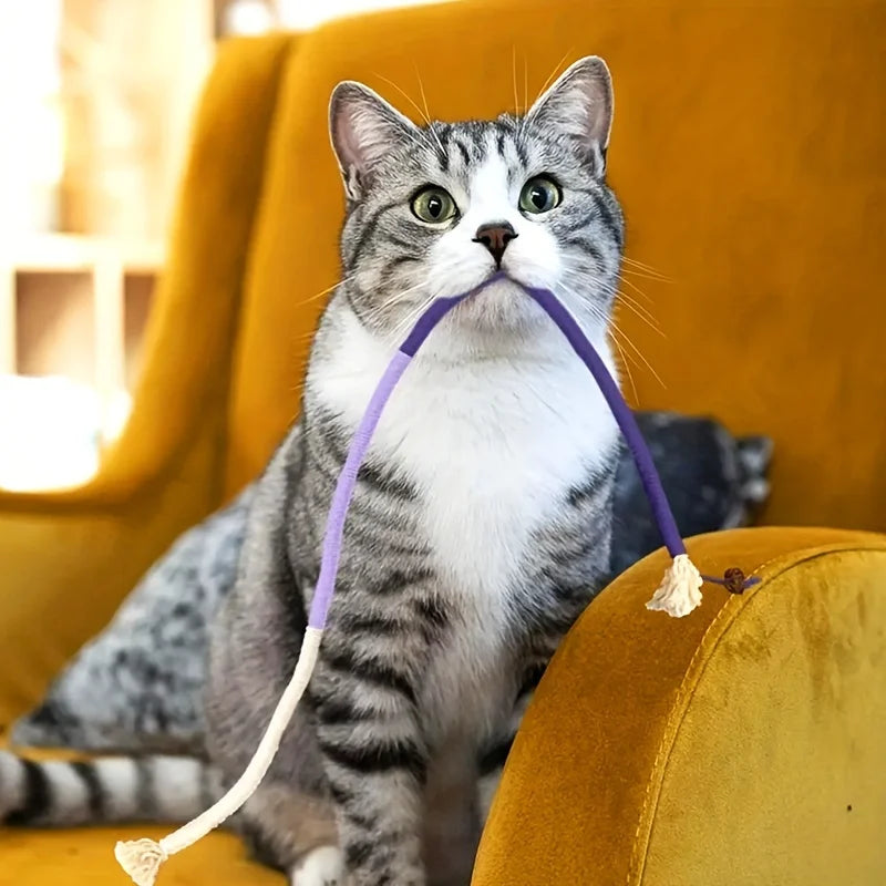 Durable Cat Bite Rope Toy