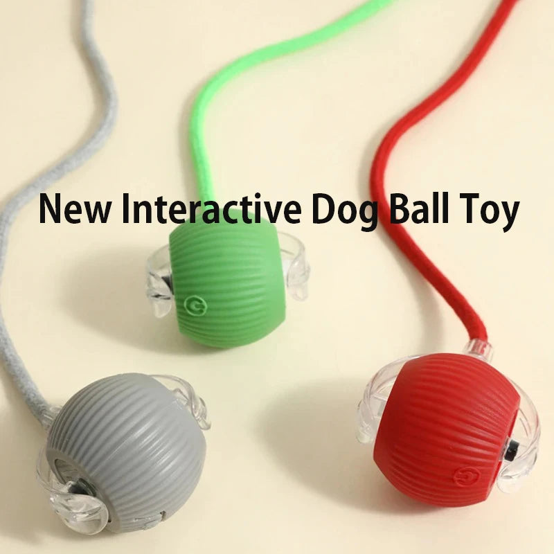 Automatic Rolling Interactive Dog Ball