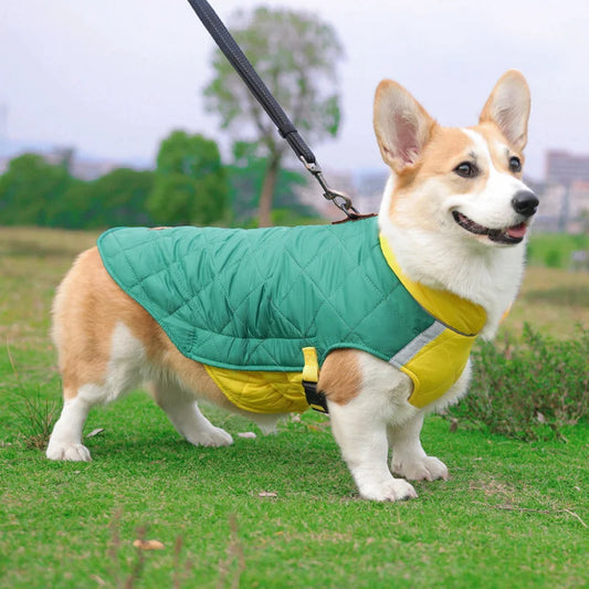 Winter French Bulldog Puppy Coat