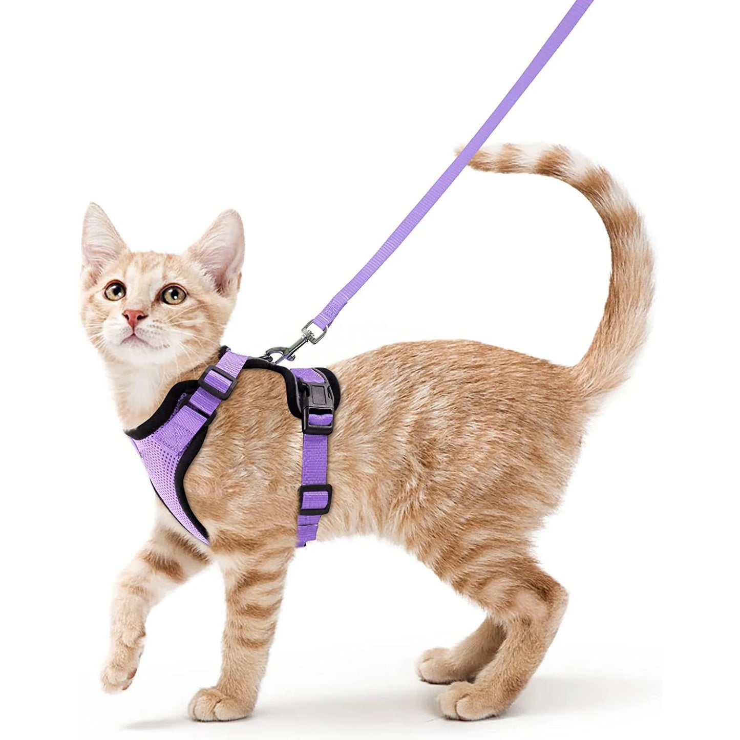 Adjustable Cat Harness & Leash