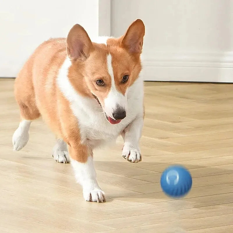 Smart Interactive Pet Toy Ball