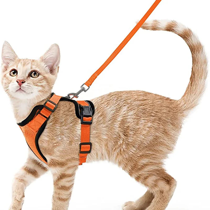 Adjustable Cat Harness & Leash