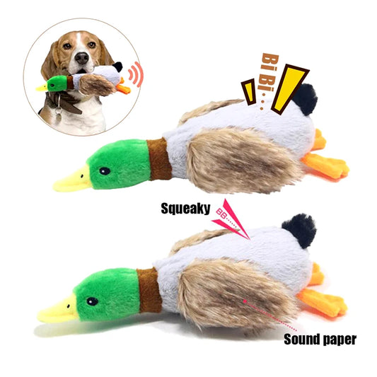 Interactive Dog Chew Toy