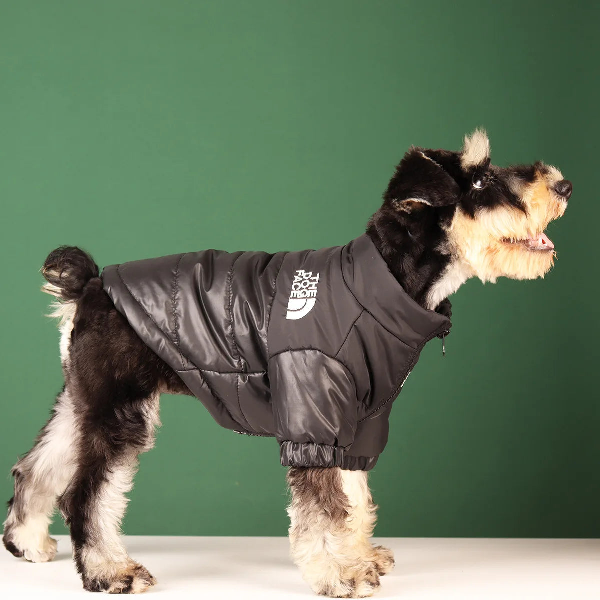 Reflective Windproof Dog Winter Jacket