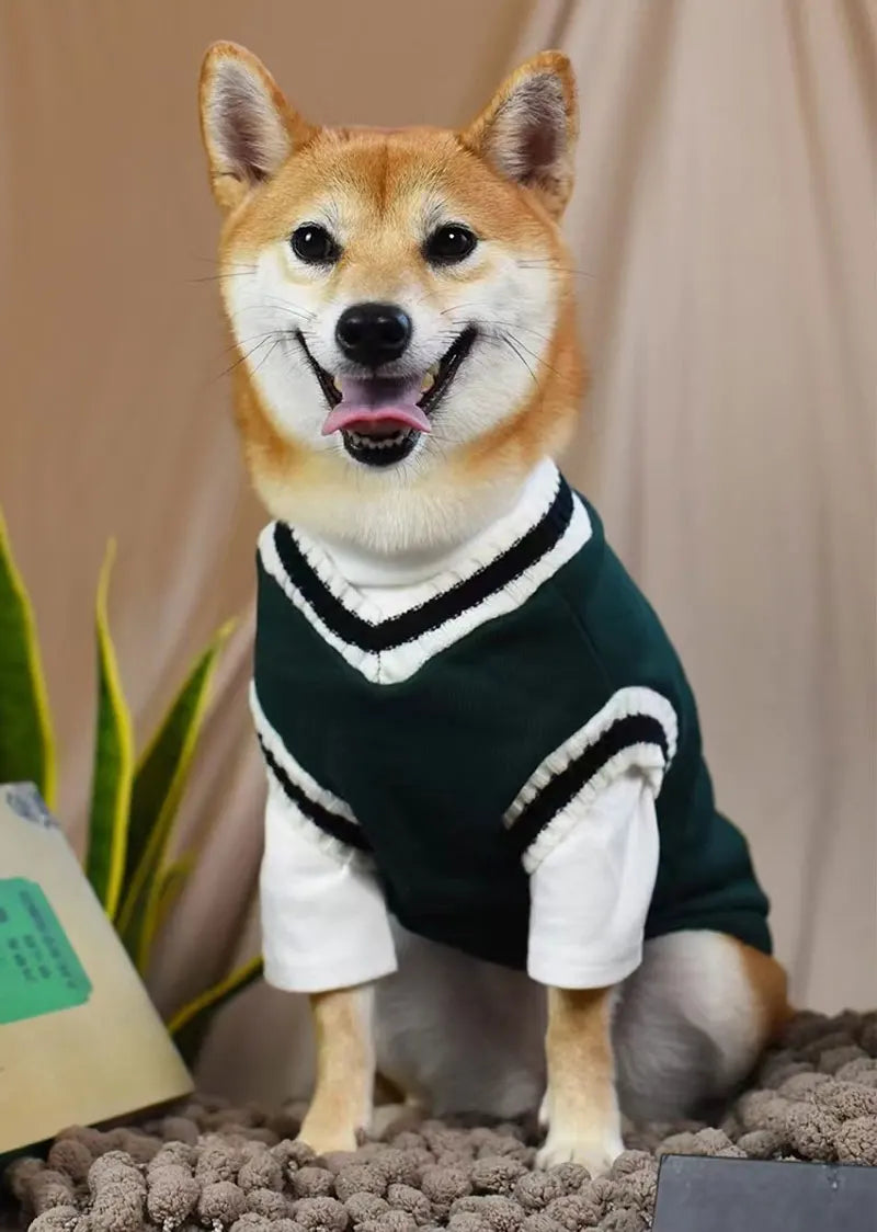 V-Neck Knit Dog Sweater