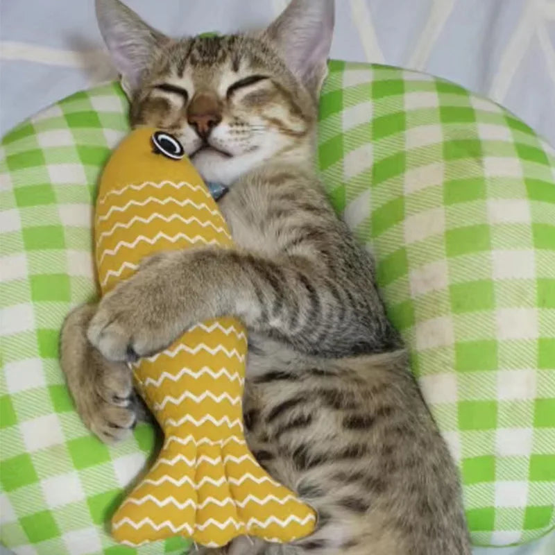 Interactive Fish Cat Toy Pillow