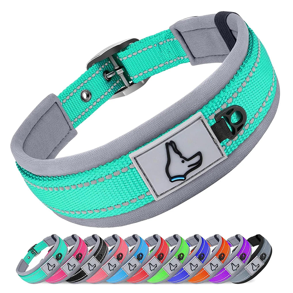 Padded Reflective Nylon Dog Collar