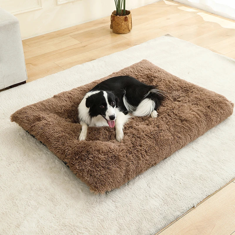 Soft Dog & Cat Bed