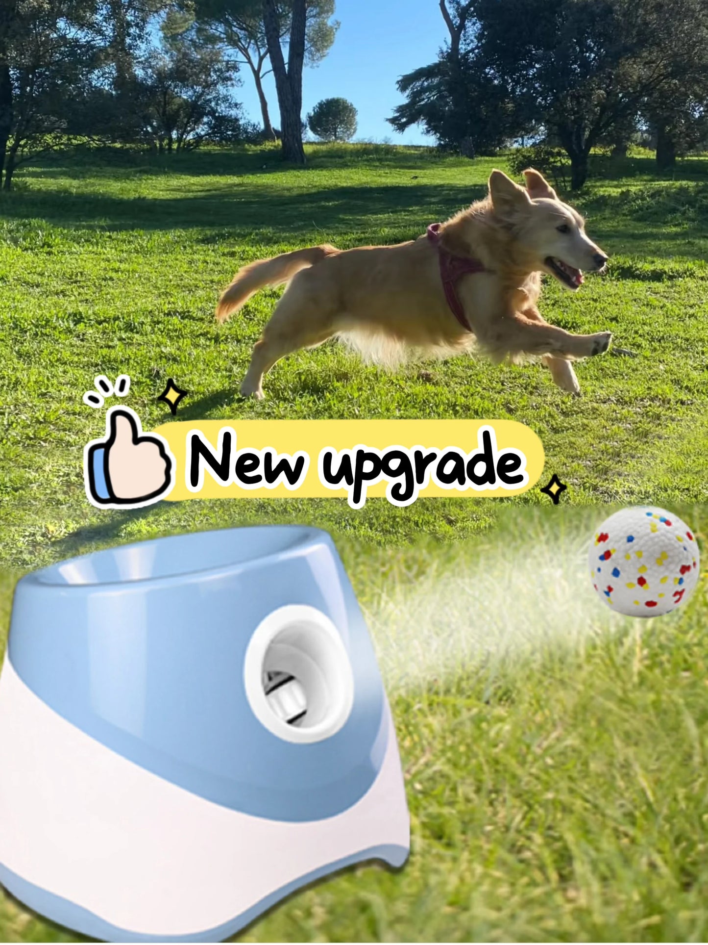 Automatic Dog Tennis Ball Launcher