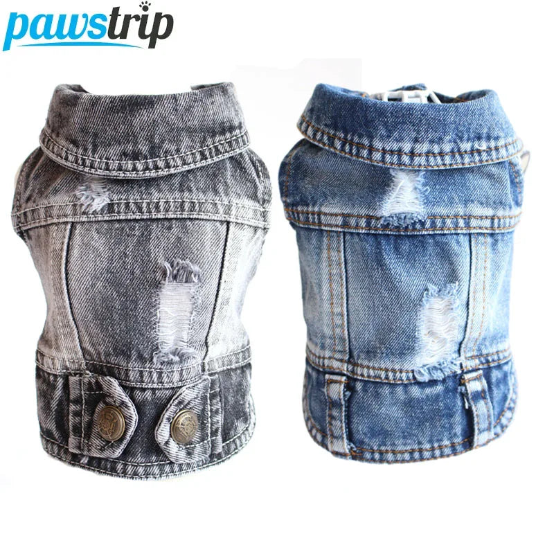 Cool Denim Dog Jacket for Small & Medium Dogs