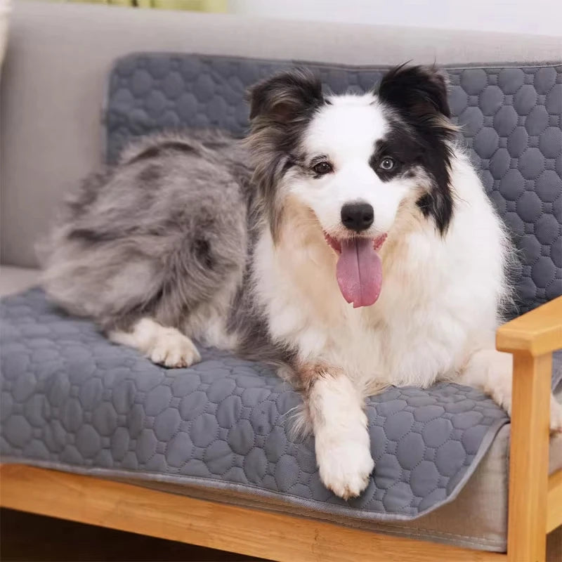 Reusable Dog Pee Pad