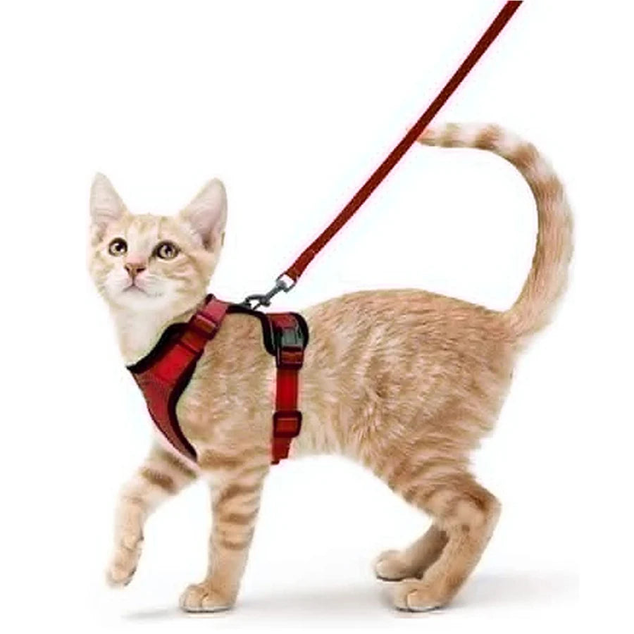 Adjustable Cat Harness & Leash