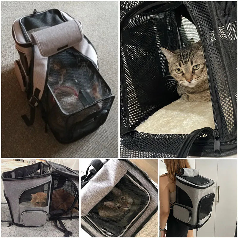 Foldable Breathable Pet Carrier Backpack