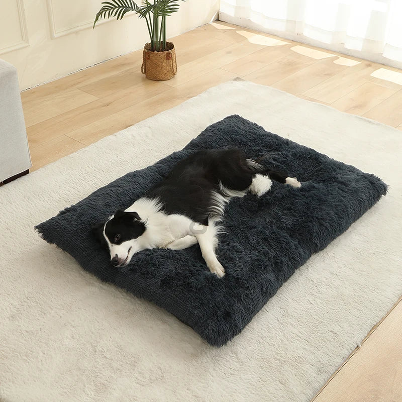 Soft Dog & Cat Bed