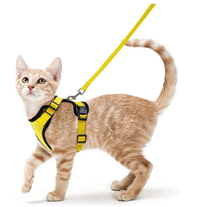 Adjustable Cat Harness & Leash