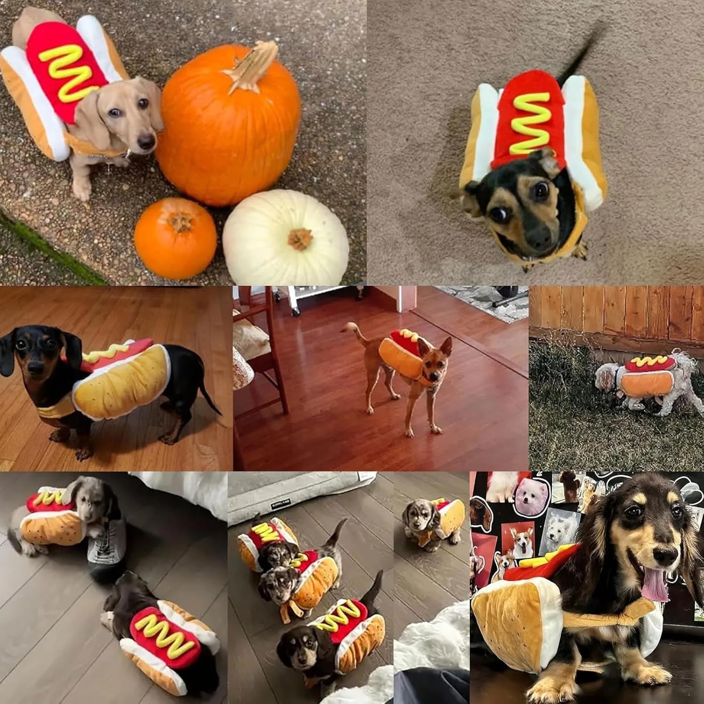 Hot Dog Shaped Halloween Dog Costume