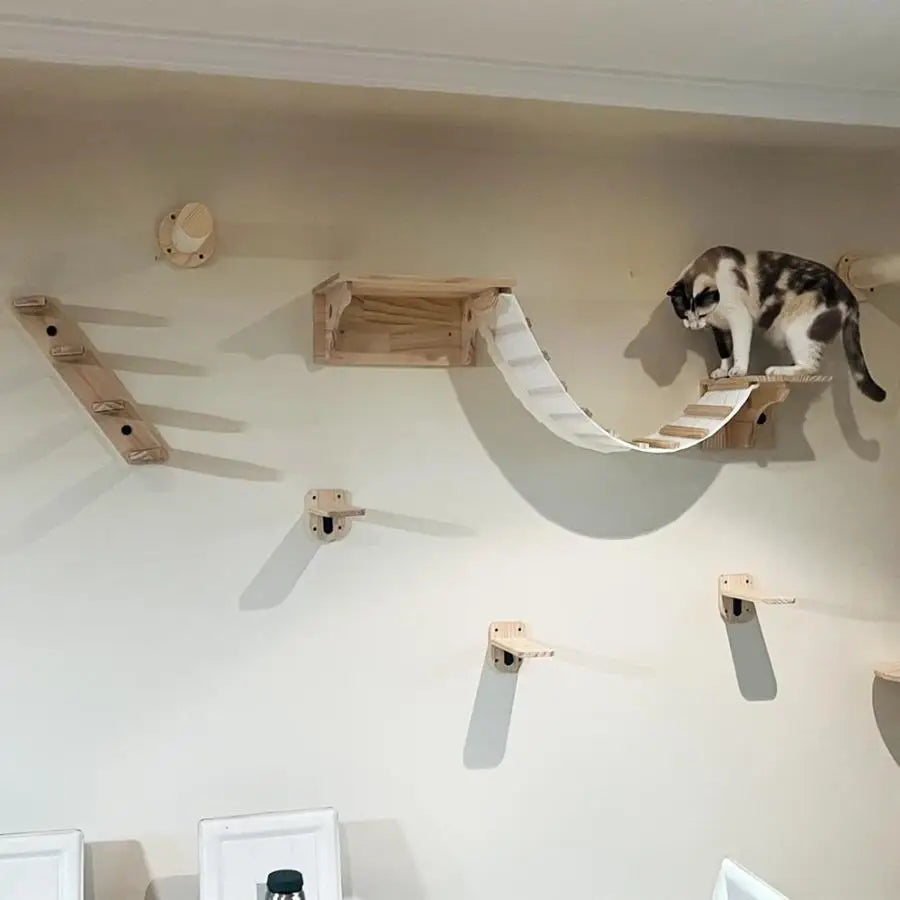 Wall-Mounted Cat Climbing Shelves with Hammock & Scratching Post