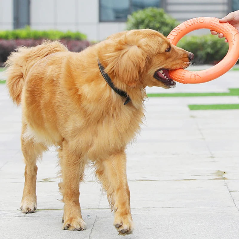 Orange EVA Dog Flying Training Ring