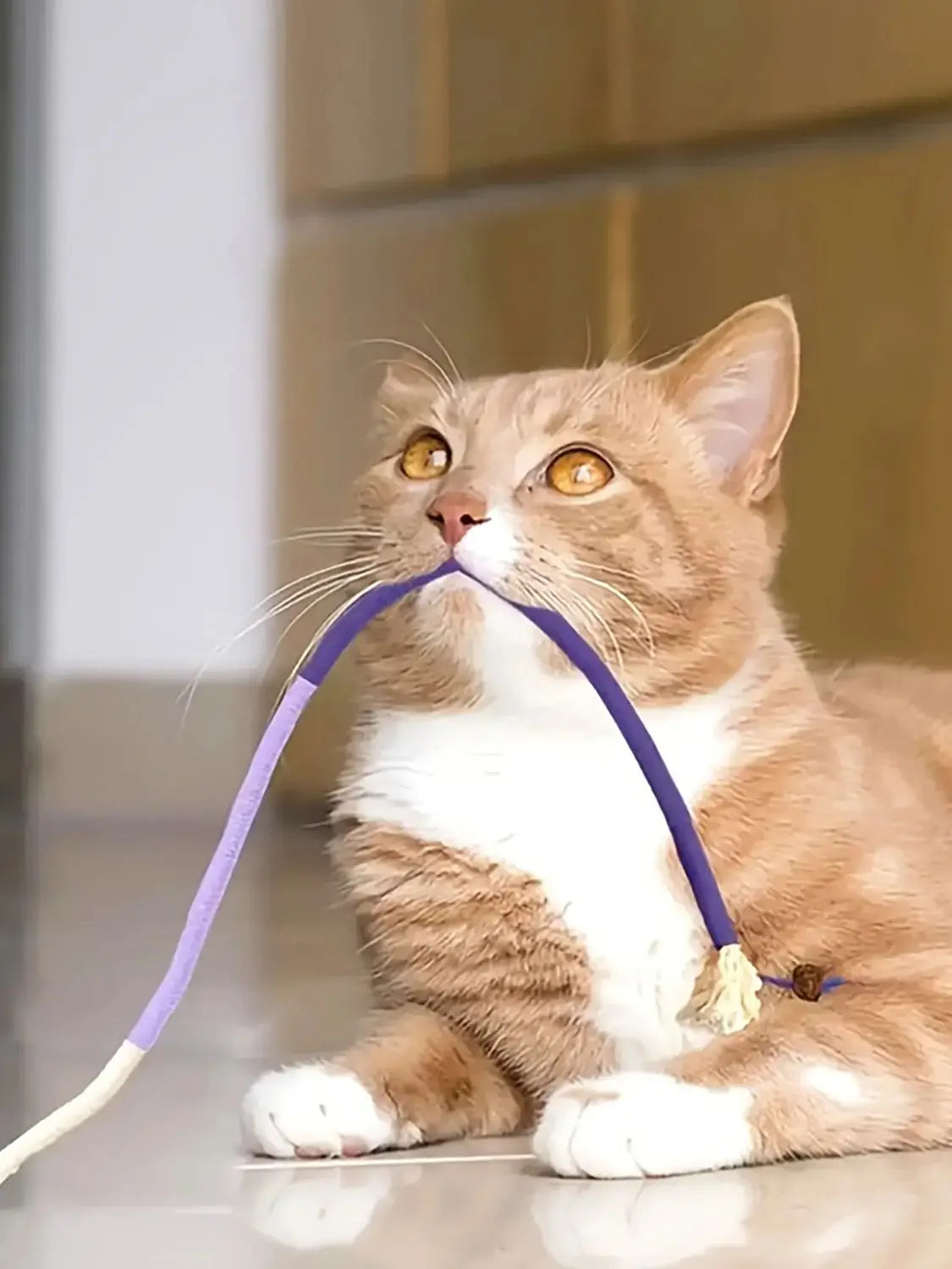 Durable Cat Bite Rope Toy