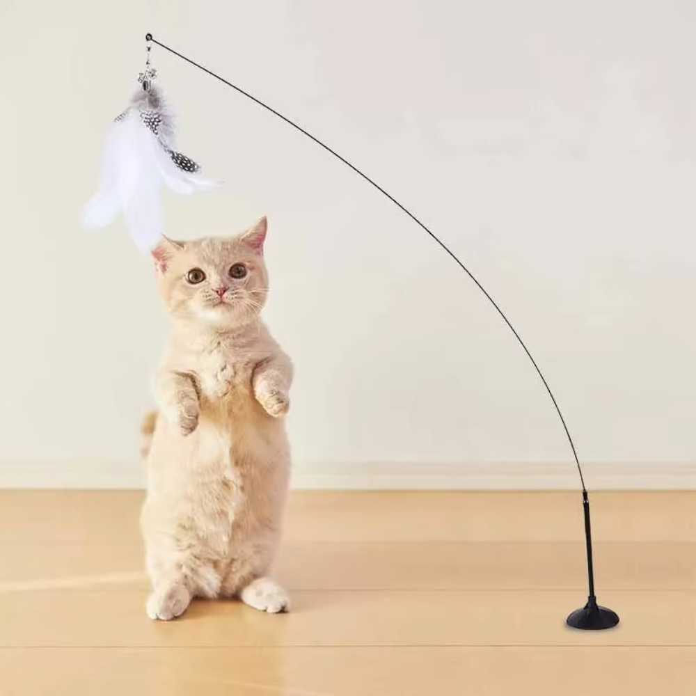 Cat Toys