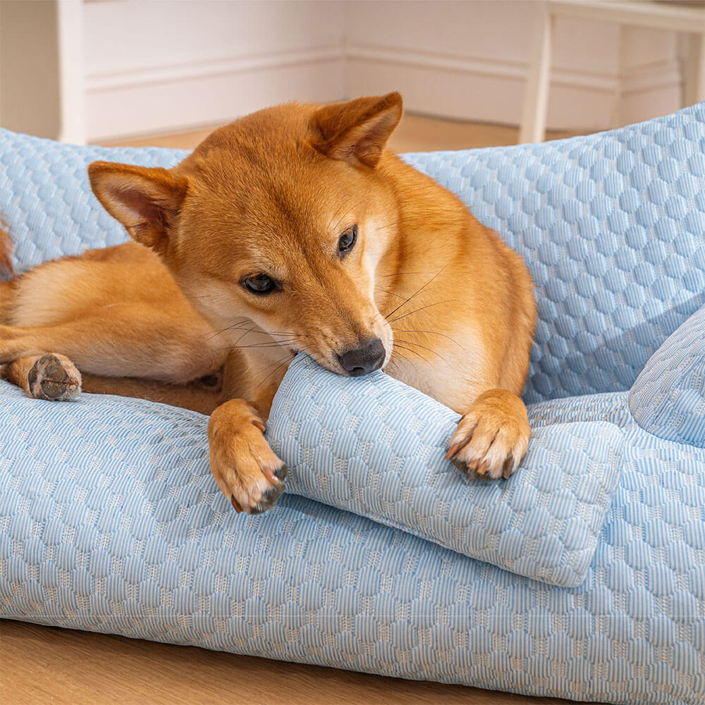 Bedding & Furniture