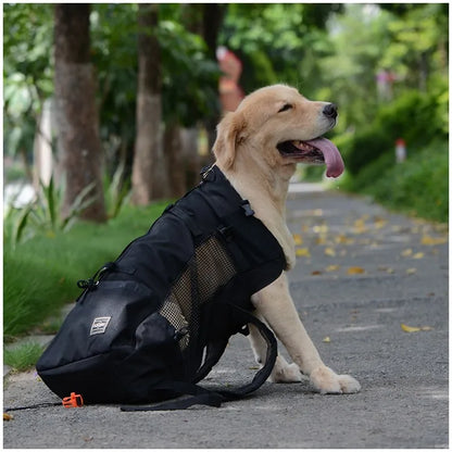 Hiking Pet Dog Carrier Backpack
