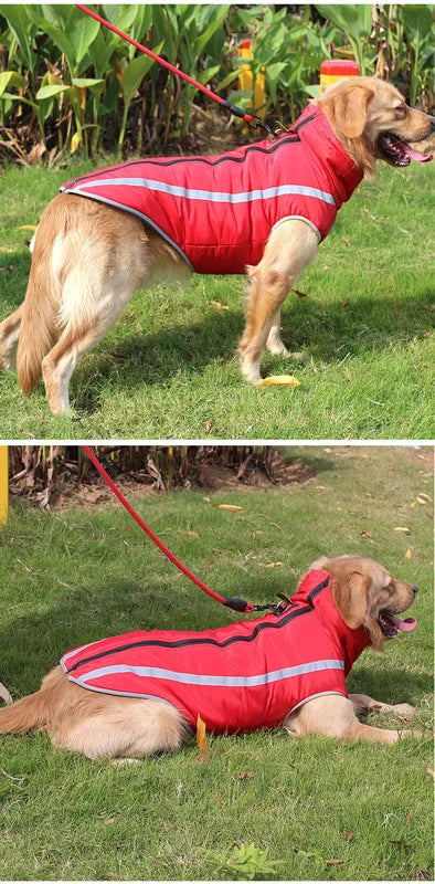 Waterproof Padded Winter Dog Jacket