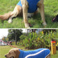 Waterproof Padded Winter Dog Jacket
