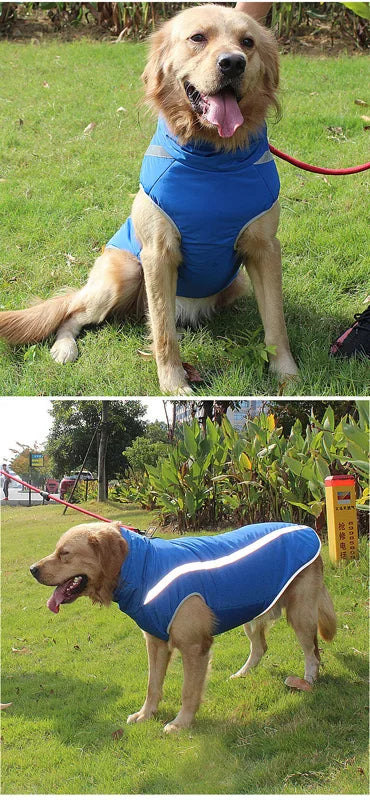 Waterproof Padded Winter Dog Jacket