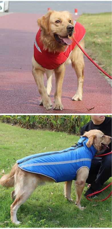Waterproof Padded Winter Dog Jacket