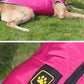 Waterproof Padded Winter Dog Jacket