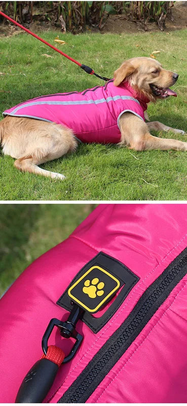 Waterproof Padded Winter Dog Jacket