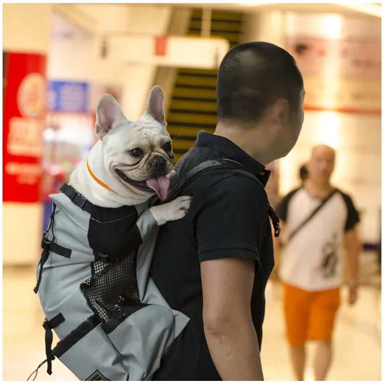 Hiking Pet Dog Carrier Backpack